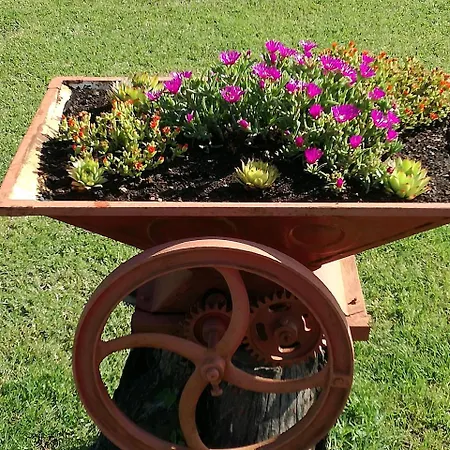 아파트 Casa Il Ponte *